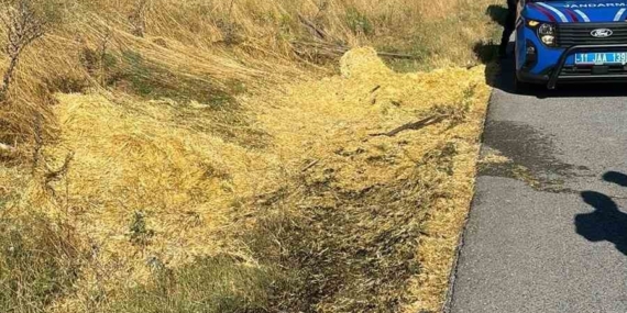 Yol kenarına atılan sigara izmariti yangına neden oldu
