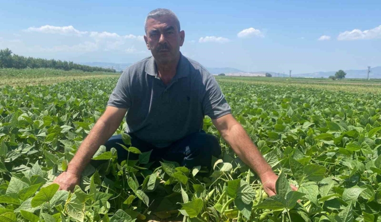 Bursa’da çiftçi tarlasını hazırlıyor, gerisini kooperatif yapıyor