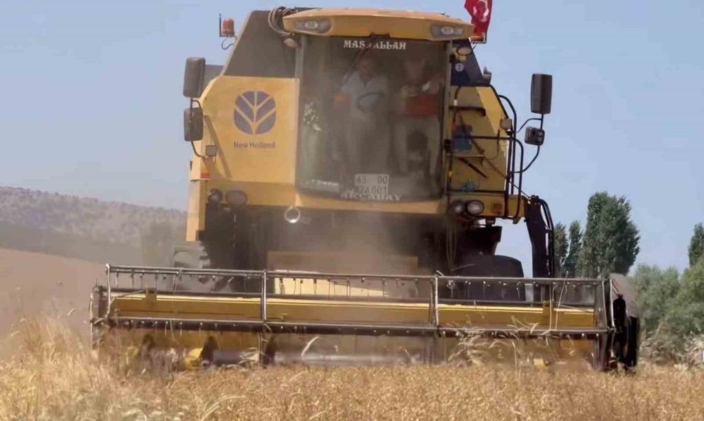 Kütahya’da 18 farklı nohut çeşidi aynı tarlada tanıtıldı