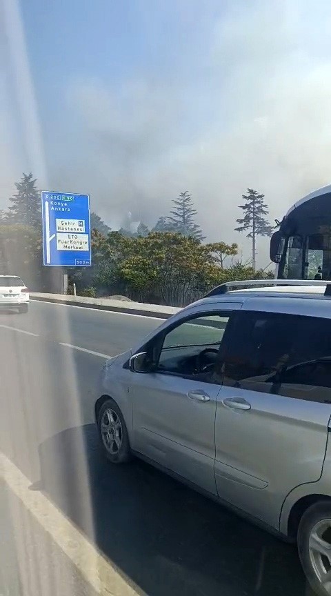 Eskişehir’de otluk alanda yangın