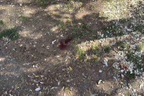 Parkta bir kişiyi döner bıçağıyla yaralayan saldırgan yakalandı