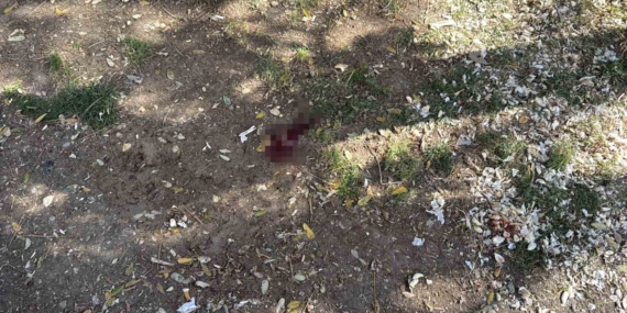 Parkta bir kişiyi döner bıçağıyla yaralayan saldırgan yakalandı