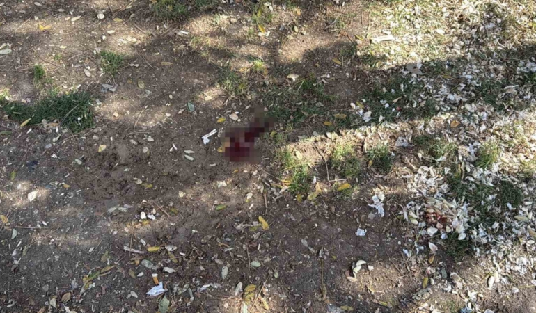 Parkta bir kişiyi döner bıçağıyla yaralayan şüpheli yakalandı