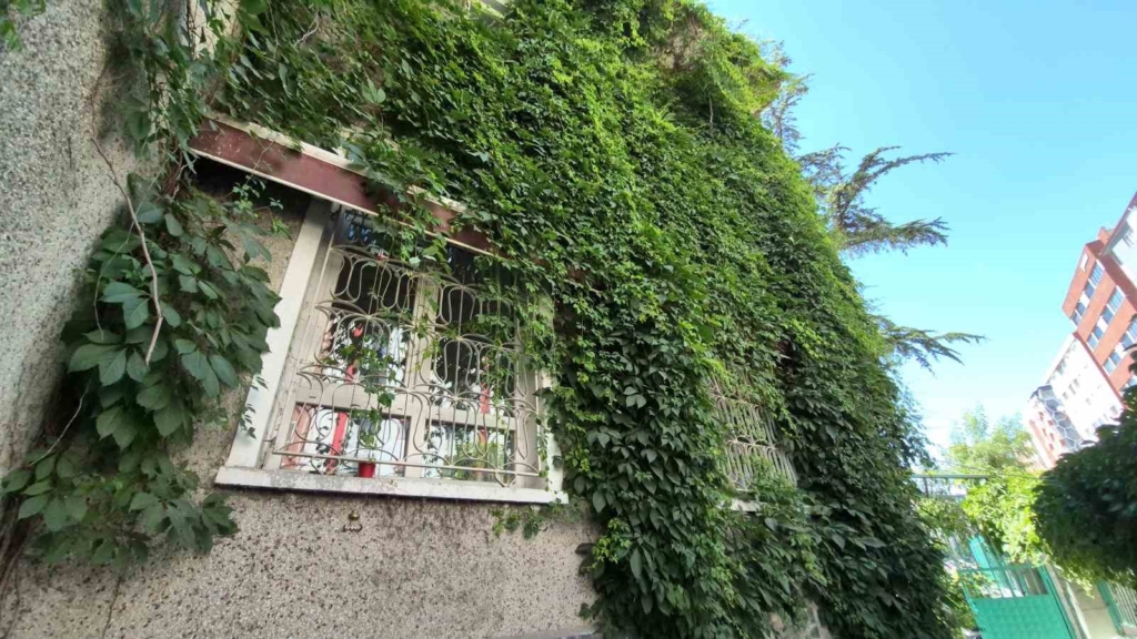 15 yıldır gönüllü olarak çalıştığı ’Sarmaşıklı Cami’ye gözü gibi bakıyor