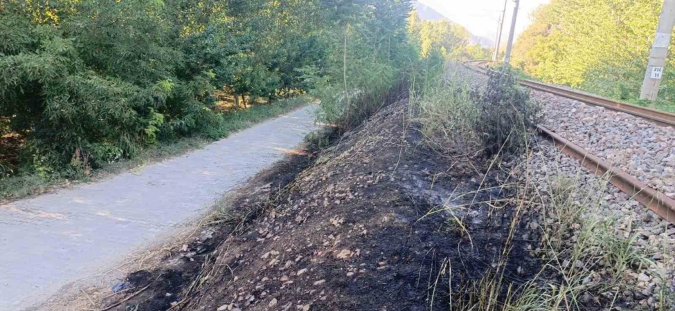Bilecik’te YHT hattı kenarında yangın çıktı
