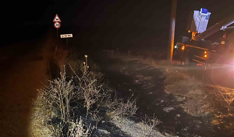 Sivrihisar’da elektrik tellerine çarpan kuş yangına neden oldu