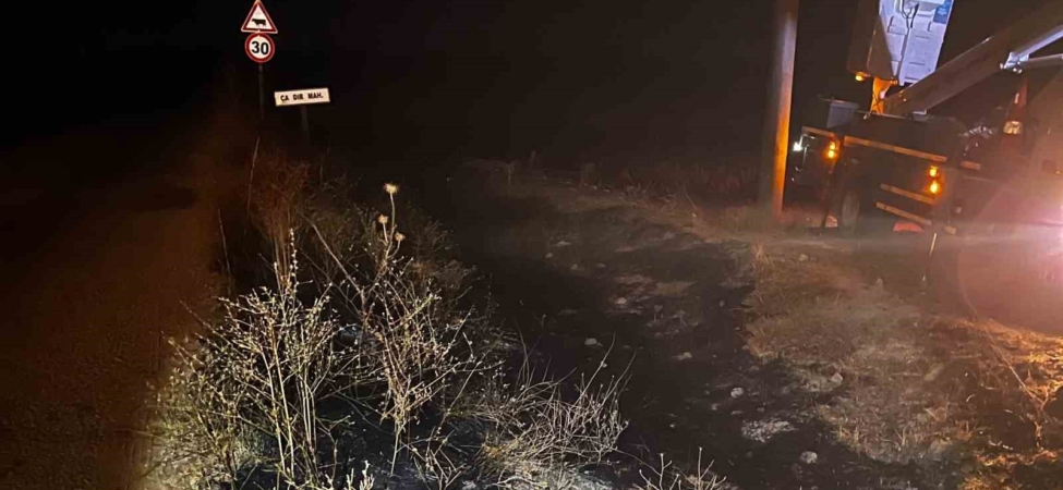 Sivrihisar’da elektrik tellerine çarpan kuş sonrası çıkan yangın söndürüldü