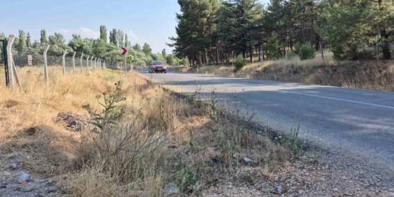 Mahalle muhtarından yol kenarlarındaki kurumuş otlar için ’yangın’ uyarısı
