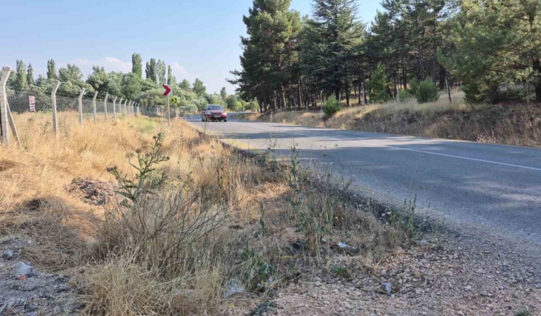Muhtardan yol kenarlarındaki kurumuş otlar için yangın uyarısı