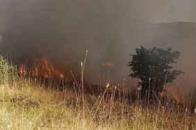 Muş’ta ormanlık alanda çıkan yangın kontrol altına alındı