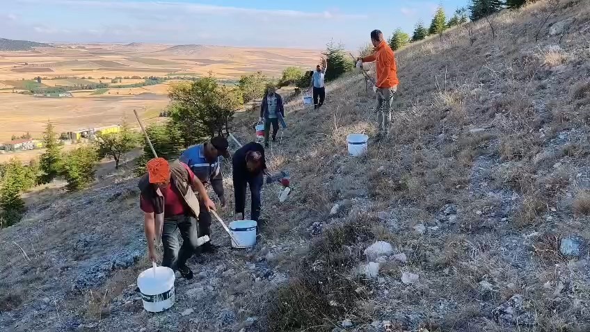 Seyitgazi Avdar bayırındaki dev ay yıldız için bakım ve boyama çalışması