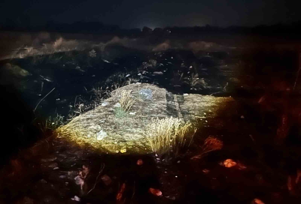 Sivrihisar’da elektrik tellerine çarpan kuş sonrası çıkan yangın söndürüldü
