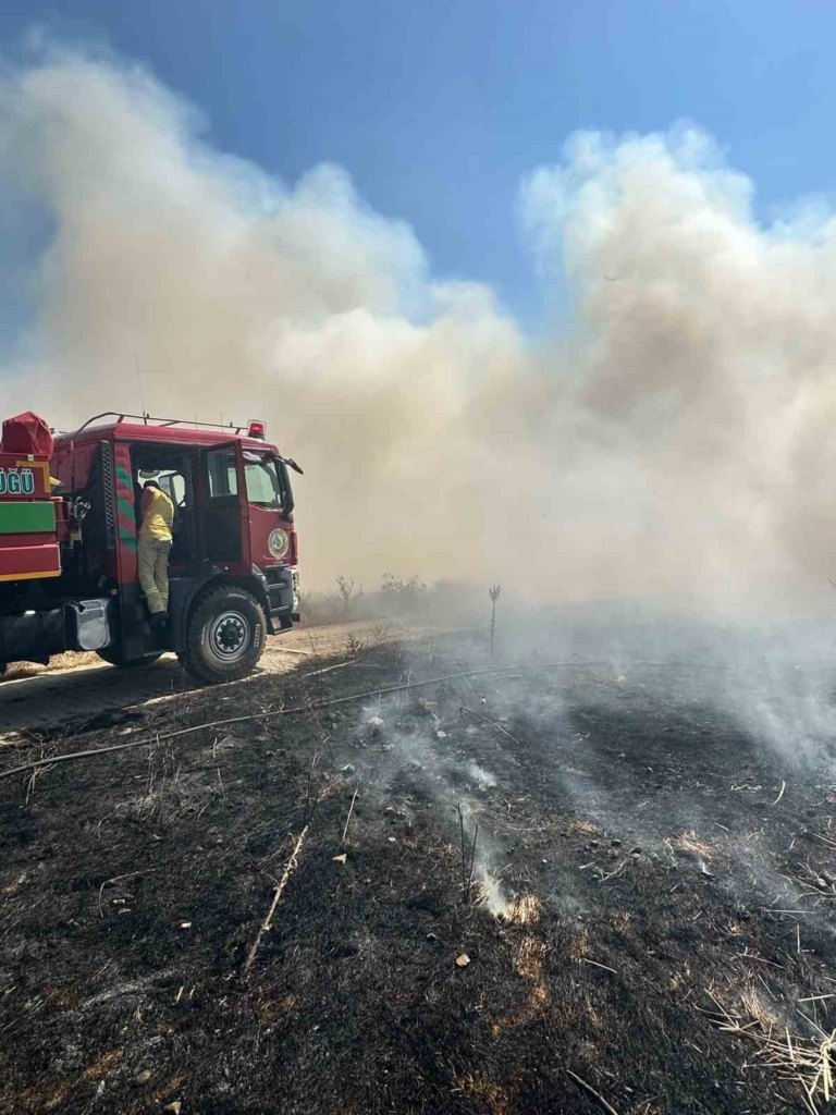 Çıkan arazi yangını büyümeden söndürüldü