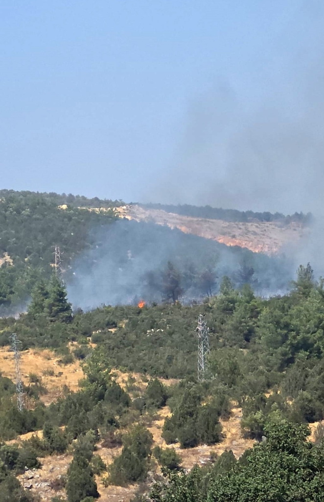 Bilecik’te orman yangını kontrol altına alınırken, 1 hektar alan zarar gördü