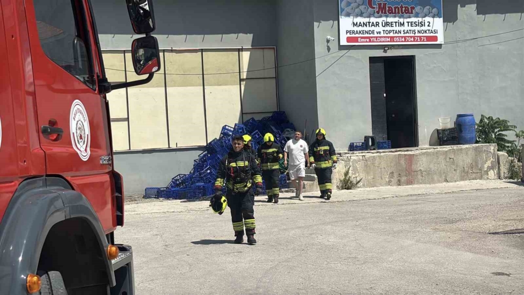Mantar tesisindeki ilaçlama dumanını yangın zanneden vatandaşlar ekipleri harekete geçirdi