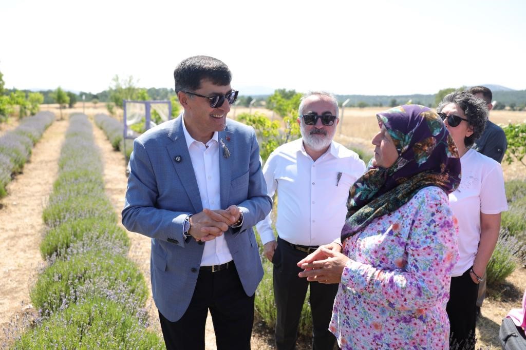 Lavanta bahçesinde hasat coşkusu