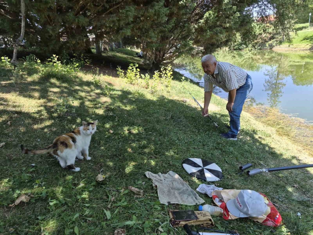 Akıllı sokak kedisi balık tutan adamın başından ayrılmadı