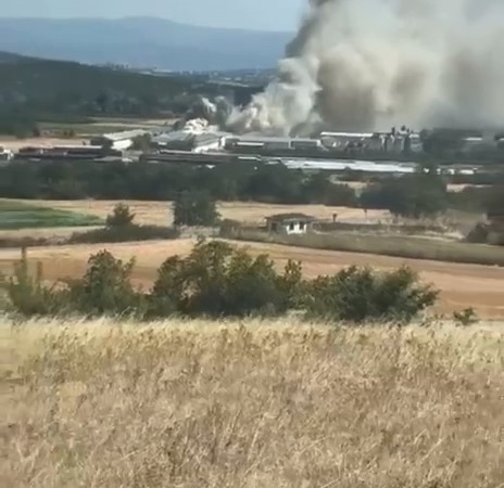 Bursa’da tavuk çiftliğinde çıkan yangın kontrol altına alındı