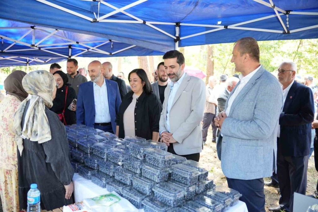 İznik’te 5. Maviyemiş Festivali’ne yoğun ilgi