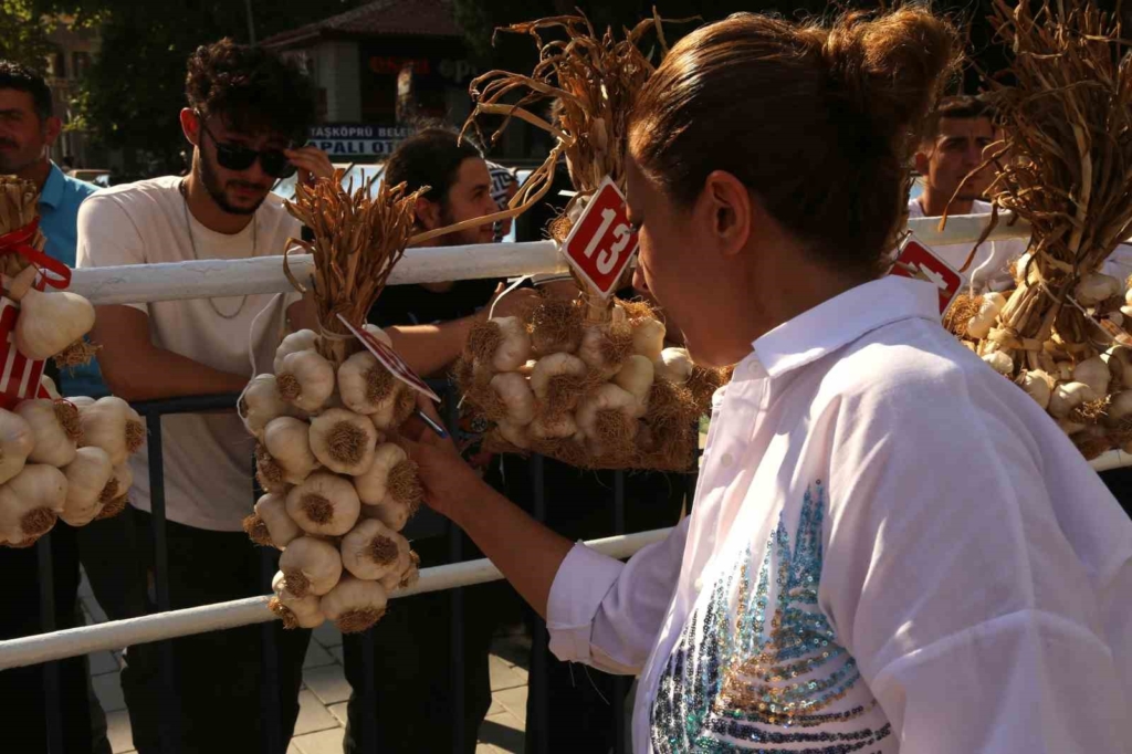 Dünyaca ünlü Taşköprü sarımsağı festivalde yarıştı: 80 demet arasından en iyi sarımsak seçildi