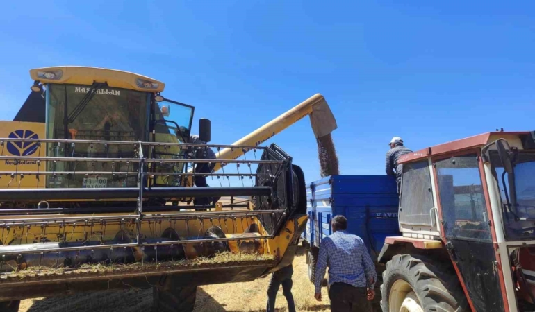 Kütahya’da Azkan nohut çeşidinin hasadı yapıldı