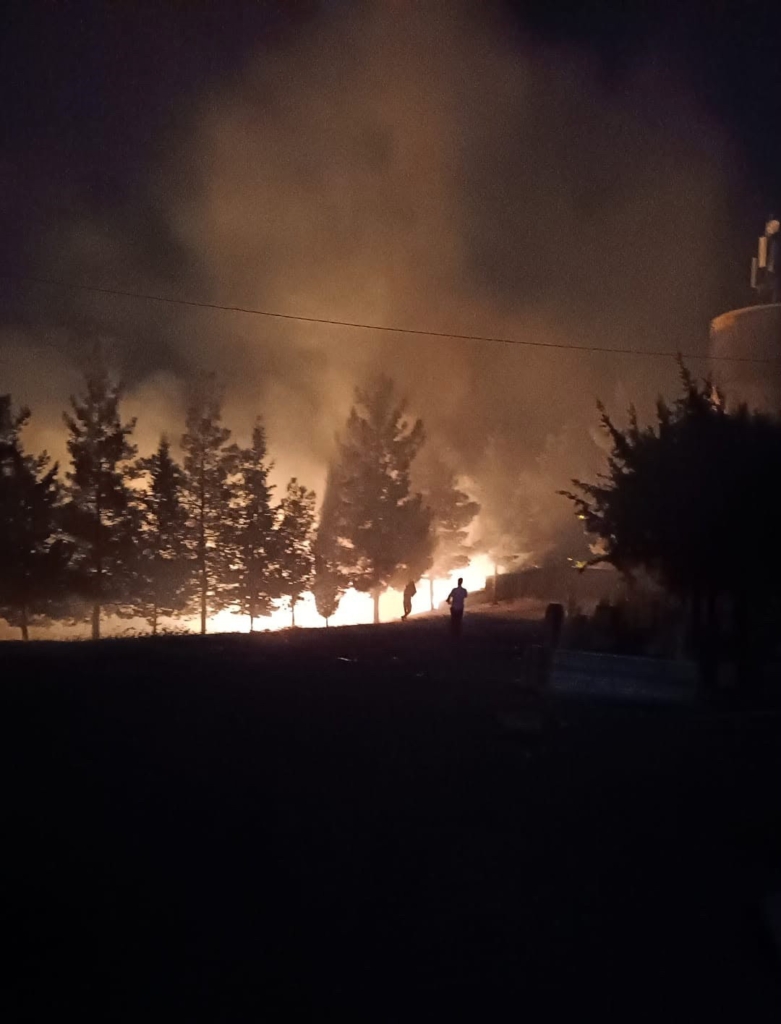 Siirt’te mezarlıkta çıkan yangın itfaiye ekiplerince söndürüldü