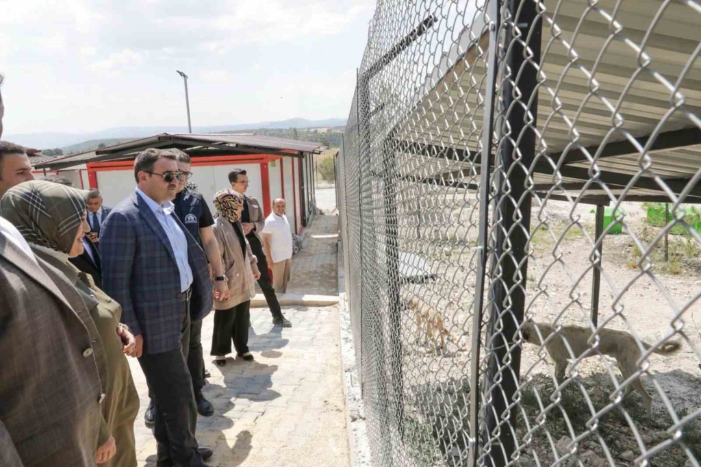 Emet Sahipsiz Hayvan Bakımevi hizmete açıldı