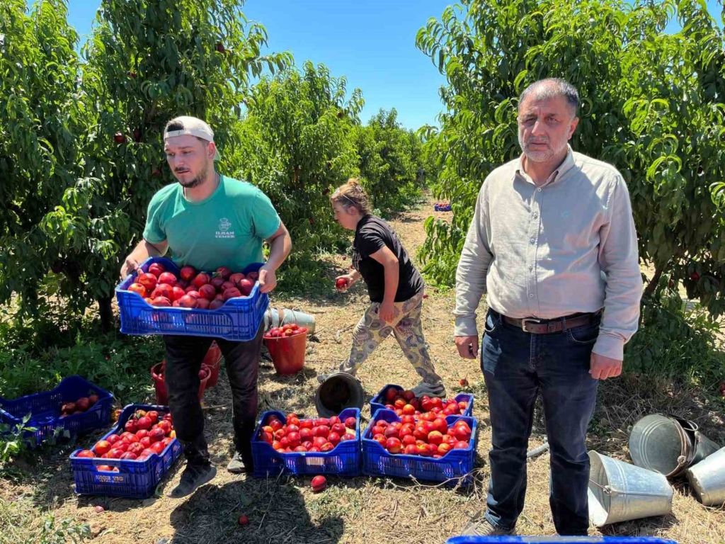 İznikli nektarin üreticisinden fiyat tepkisi