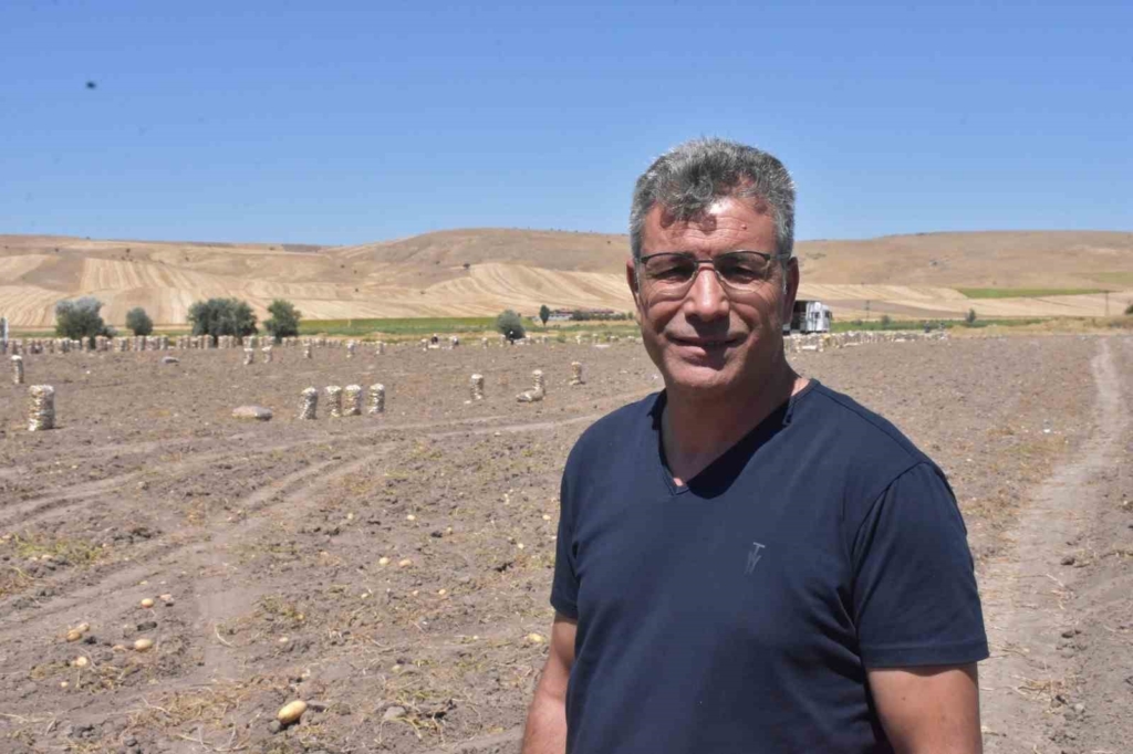 Patates üretiminde Türkiye’nin lokomotiflerinden Sandıklı’da hasat dönemi başladı