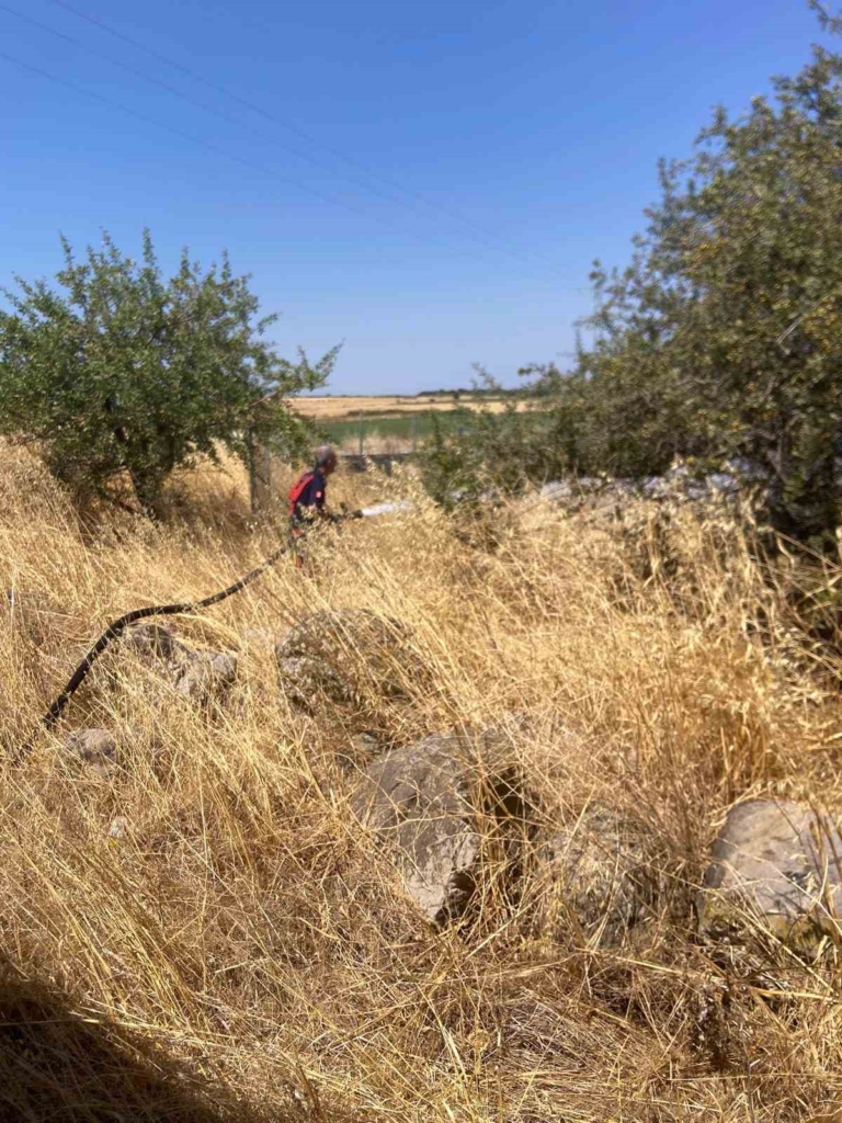 Bandırma’da anız ve otluk alanda yangın