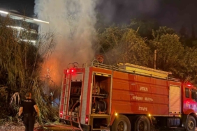 Alanya’da sazlık alanda yangın