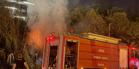 Alanya’da sazlık alanda yangın