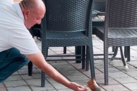 Kahvehaneye gelen sincabı elleriyle besledi