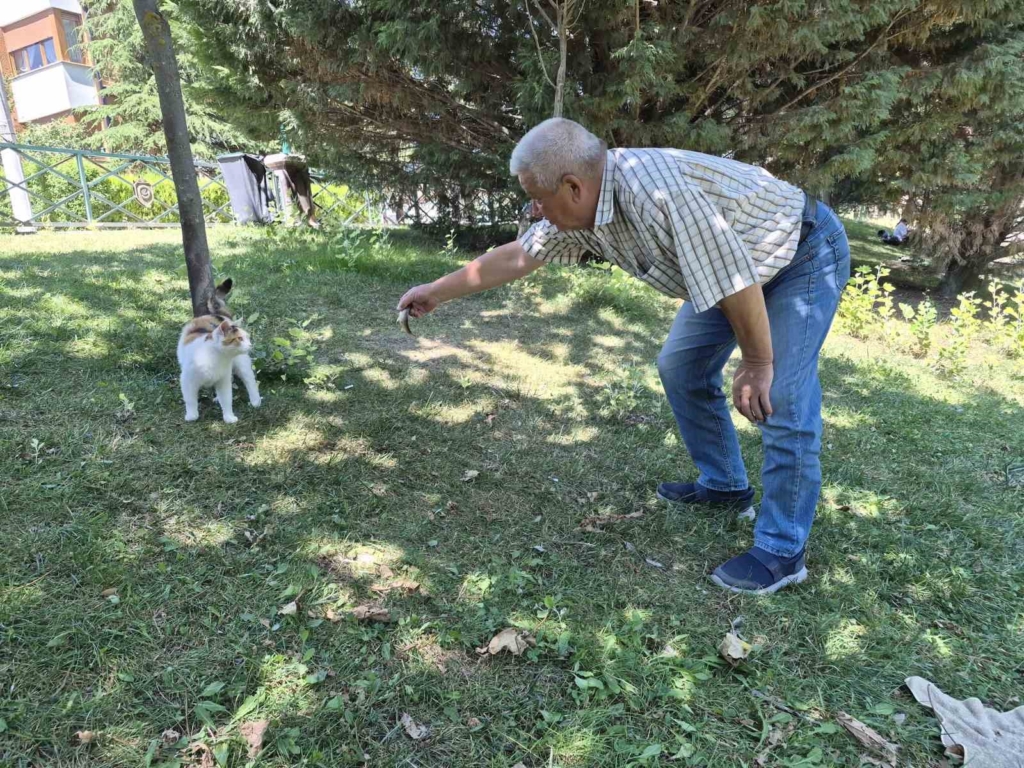 Akıllı sokak kedisi balık tutan adamın başından ayrılmadı