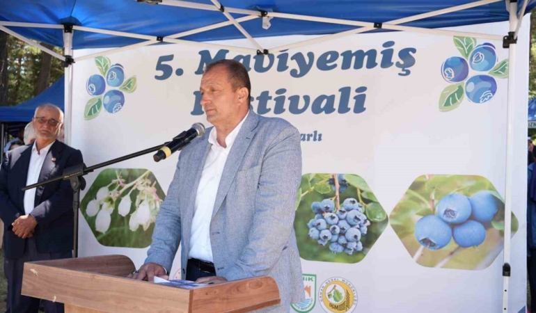 İznik’te 5. Maviyemiş Festivali’ne binlerce vatandaş katıldı