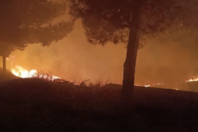 Siirt’te mezarlıkta çıkan yangın itfaiye ekiplerince söndürüldü