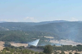 Bilecik’te ormanlık alandaki yangın kontrol altına alındı
