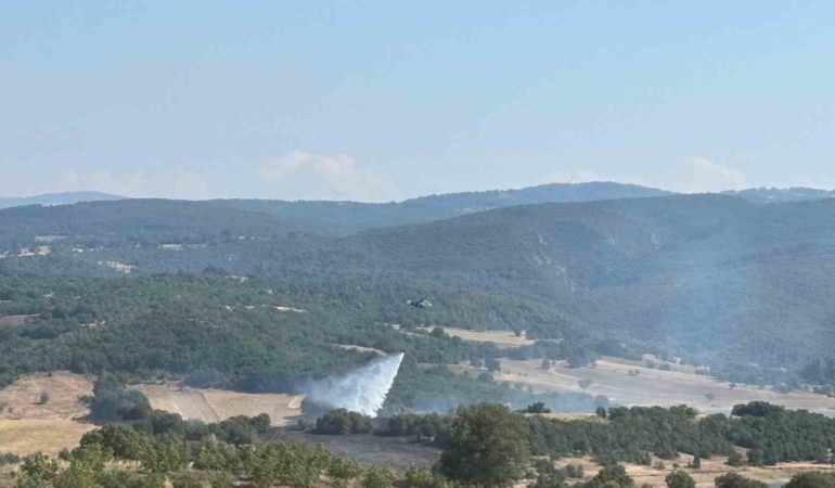 Bilecik Söğüt’te ormanlık alandaki yangın kontrol altına alındı