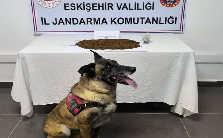 Eskişehir’de uyuşturucu operasyonu: 361 gram bonzai ele geçirildi