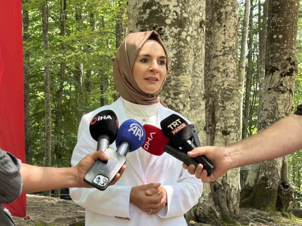 Bakan Göktaş: "Şehit ailelerimize ve gazilerimize müjde niteliğinde bir çalışma çıkacak"