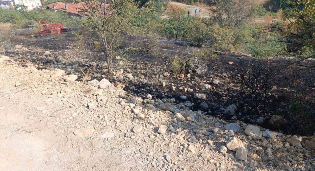 Bilecik’te devrilen elektrik direği yangına neden oldu
