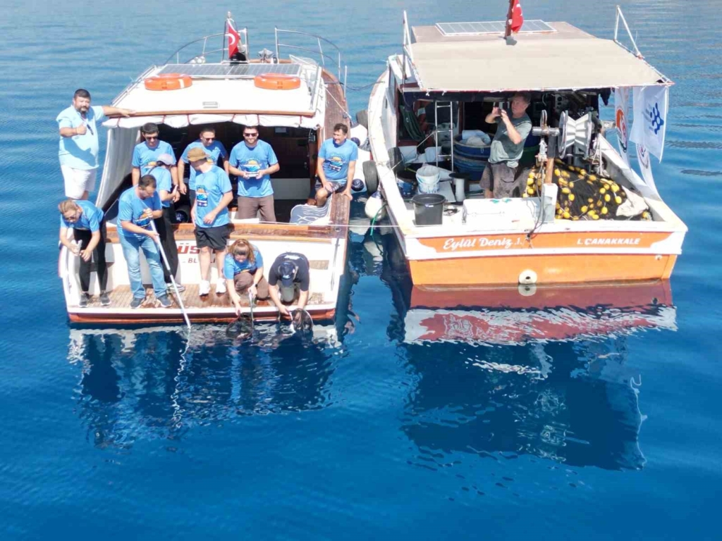 Hayvanat Bahçesi Sualtı Dünyası Akvaryumu’nda dünyaya gelen 13 köpek balığı yavrusu doğal yaşamına bırakıldı