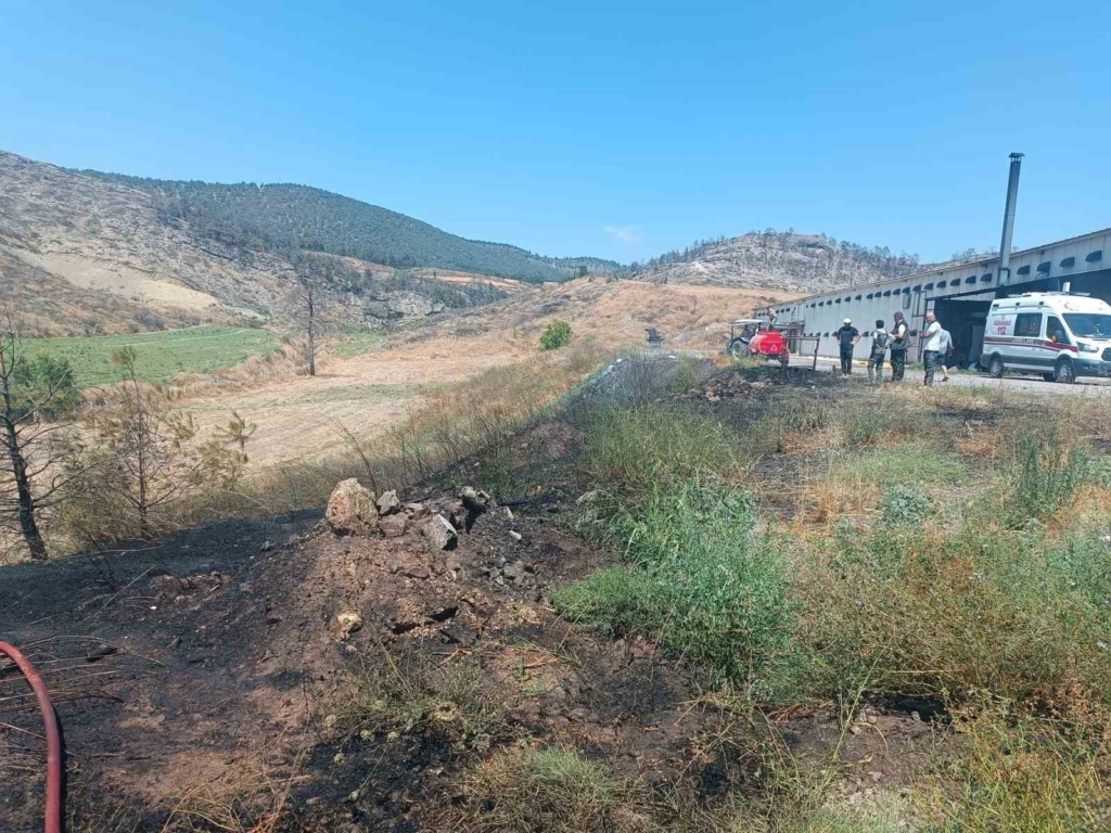 Bilecik’te ziraat alanında çıkan yangın büyümeden söndürüldü