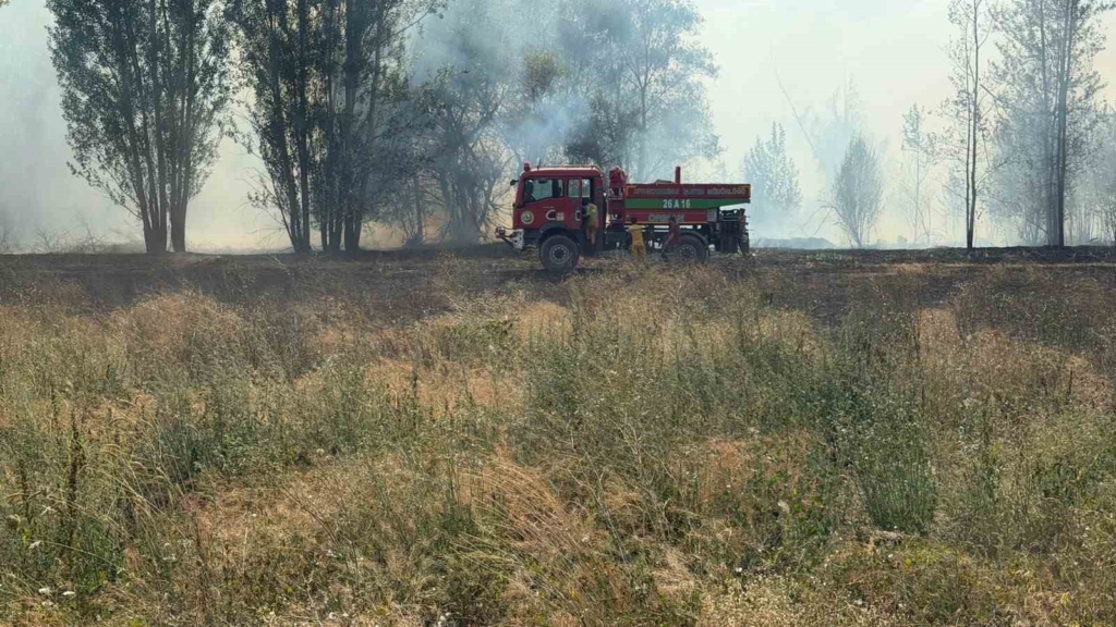 Emirdağ’da anız ve ağaçlık alanda yangın