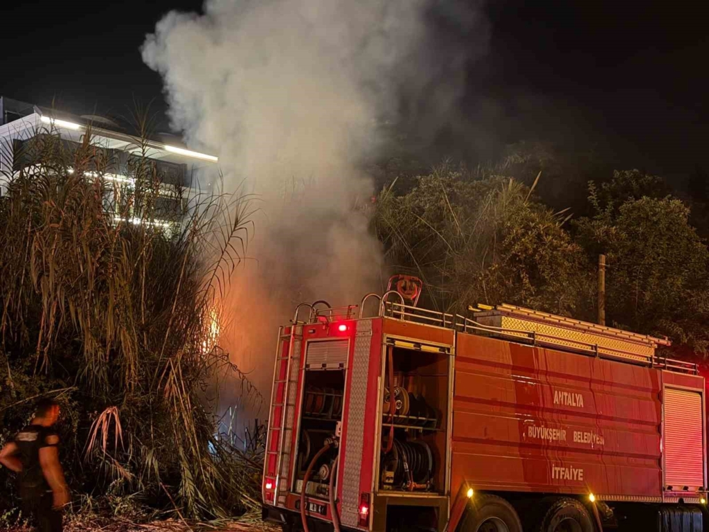 Alanya’da sazlık alanda yangın