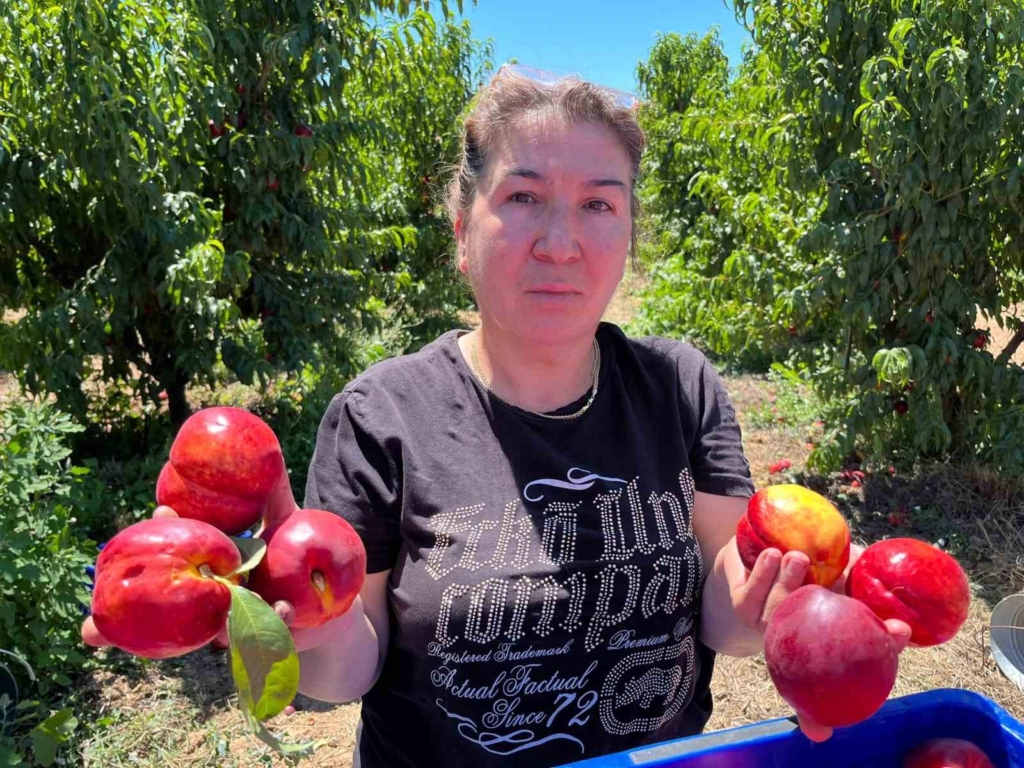 İznikli nektarin üreticisinden fiyat tepkisi