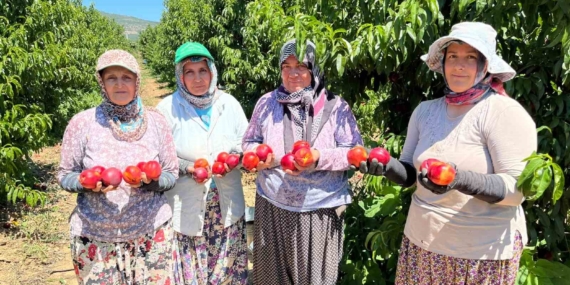 İznikli nektarin üreticisinden fiyat tepkisi