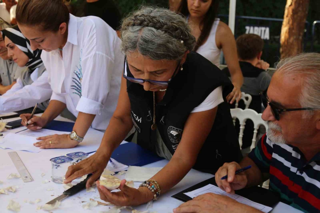 Dünyaca ünlü Taşköprü sarımsağı festivalde yarıştı: 80 demet arasından en iyi sarımsak seçildi