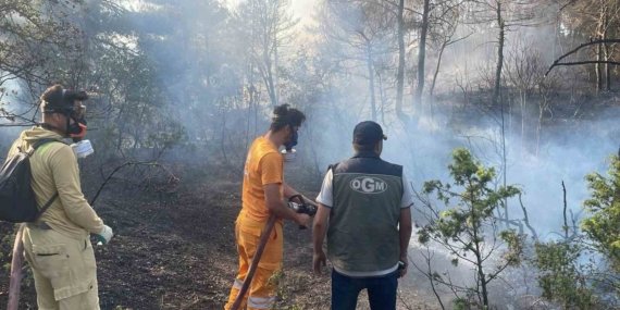 Bolu’da ormanlık alanda çıkan yangın kontrol altına alındı