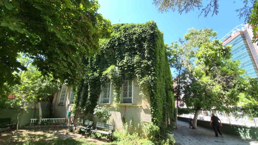 15 yıldır gönüllü olarak çalıştığı ’Sarmaşıklı Cami’ye gözü gibi bakıyor